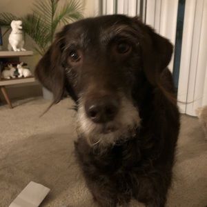 Meet your Posher, Ben